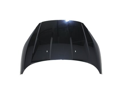 Hood Ford Fiesta PANTHERBLACK (PANTHERBLACK)